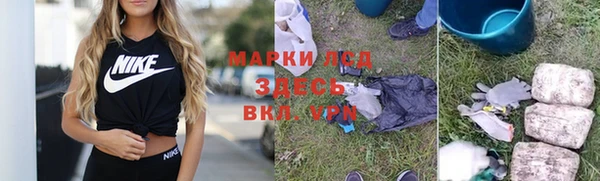 сатива Лагань